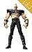 Kaiyodo Legacy of Revoltech: Fist of The North Star: Bakuretsu! Zeed-Dan Action Figure
