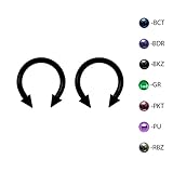 Pair of Titanium Circular Barbell w/Cones Horseshoe Earrings 12-8G