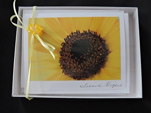 Floral note card set