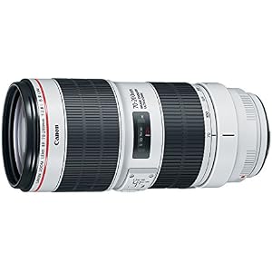 Canon EF 70-200mm f/2.8L IS III USM Lens for Canon Digital SLR Cameras