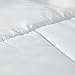 Elegant Comfort Luxury Ultra Plush Down Alternative Double-Filled Comforter, Twin/Twin XL, White