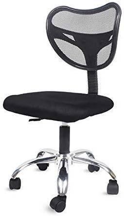 QTDH Ergonomic Office Chair - Swivel Office Chair - Adjustable Lumbar Support Mesh Chair - Office, Bedroom, Study