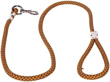PetsLike Rope Leash, Gold/Navy-Blue (12 mm)
