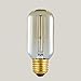 mirrea Vintage Edison Bulb 18 Pack T45 Squirrel Cage Filament Dimmable