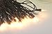 Christmas Mini Lights, 100 Clear Lights, Brown Wire/Cord, 42 ft Long