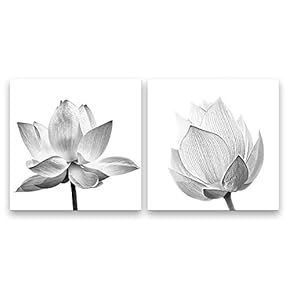 2 Panel Canvas Wall Art Abstract Lotus Canvas Prints Painting Wall Decor for Living Room Wooden Framed Home Decorations - 12"x12" x 2 Panels