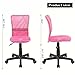EuroStile Desk Chair Mid-Back Adjustable Mesh Chair Ergonomic Swivel Computer Office Chair 8252S(Pink)