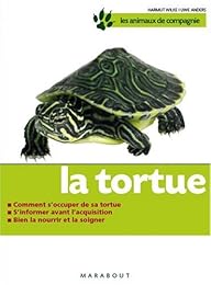 La  tortue