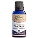 Woolzies Tea Tree Essential Oil 1 Oz 100% Pure Natural Therapeutic Tea Tree Oil for Face Skin Hair Topical Treatment for Acne Psoriasis Dandruff