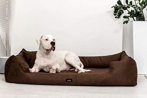 cama visco perro