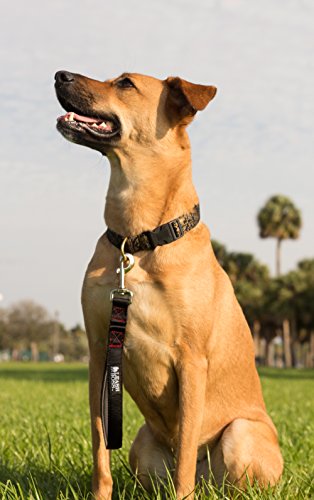 Leashboss Short Dog Leash with Padded Handle - 12 Inch Lead for Large Dogs - 1 Inch Nylon (12 In, Black/Red/Grey)