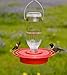 Best-1 Hummingbird Feeder Replacement Bottom