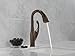 Delta Faucet Addison Bar Faucet Oil Rubbed Bronze, Bar Sink Faucet Single Hole, Wet Bar Faucets with Pull Down Sprayer, Prep Sink Faucet, Delta Touch2O Technology, Venetian Bronze 9992T-RB-DST