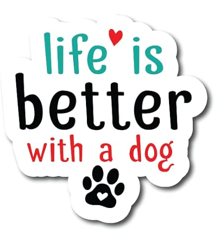 Calamita Per Auto A Forma Di Osso: I LOVE MY BICHPOO – Bichon Frise & Barboncino