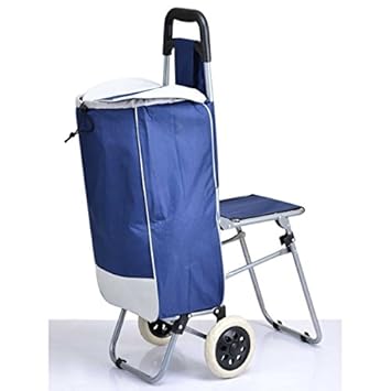 multipurpose trolley bag with foldable chair