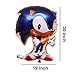 17PCS Sonic the Hedgehog Balloons Birthday Party Supplies Set, Happy Birthday Banner Foil Balloon for Kids Baby Shower Birthday Party Decorations