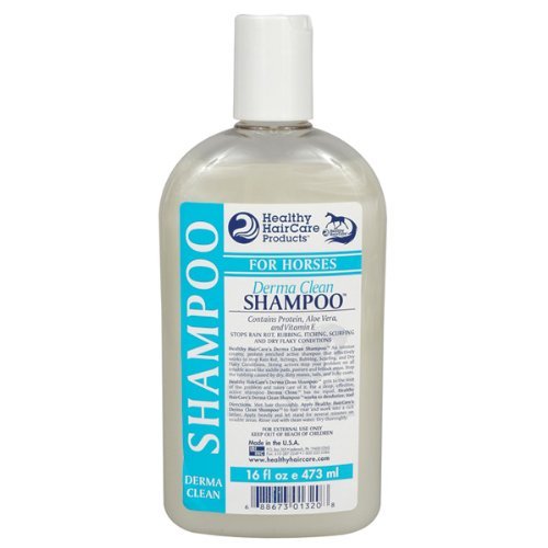 Healthy Hair Care Derma Clean Shampoo For Horses 16 Ounce Buy
