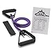 Black Mountain Products Single Resistance Band - Door Anchor and Starter Guide Included