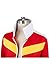 NoveltyBoy Voltron: Legendary Defender Keith Jacket Top Coat Adult Cosplay Costume (Medium, Female)