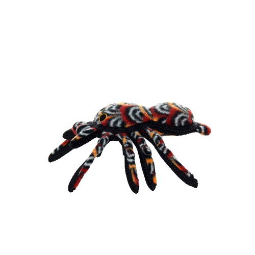 Tuffy Desert Tarantula