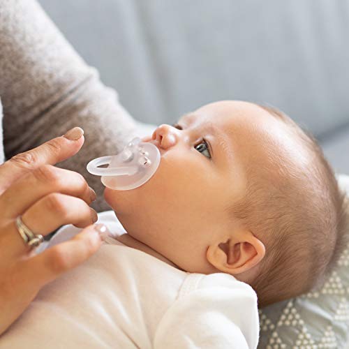 Evenflo Feeding Balance Plus Stage 1 Cylindrical Baby, Newborn and