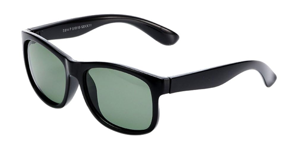 polarized wayfarer style sunglasses