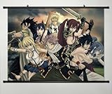 Home Decor Anime Fairy Tail Cosplay Wall Scroll Poster Fabric Painting Key Roles 23.6 X 17.7 Inches-171