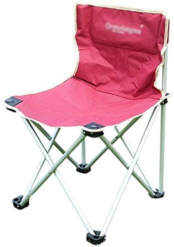 Amazon Com Qtqzdd Decorative Stool Portable Leisure Chair