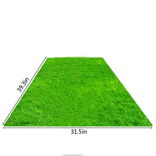 The Best Grass Patches for Dogs Dogtime