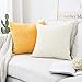 Home Brilliant Solid Cream Throw Pillows for Couch Decorative Throw Pillow Covers 18 x 18 Striped Corduroy Plush Velvet Cushion Cover for Sofa Bench Bedroom, Cream Cheese, 18x18 (45cm)