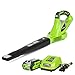 Greenworks 40V 150 MPH Variable Speed Cordless Leaf Blower, 2.0Ah Battery and Charger Included 24252 primary