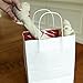Kraft White Paper Bags with Handles - Medium Size for Gift, Shopping & Party (8