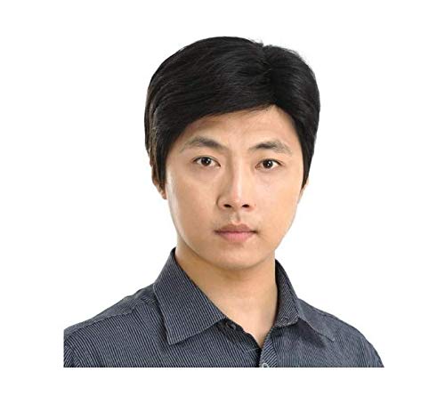 Natural Fluffy Man Wigs Middle Aged Men Short Imitation Human Hair