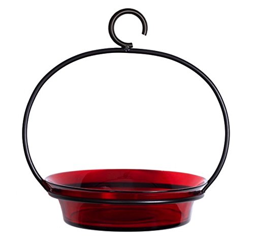 Glass Flat Bottom Hanging Wild Bird Baths G446M Clear Decorative Birdseed Container Feeder. Romantic Decor & More