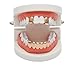 Gold Grillz Best gift for Son-New Custom Fit 14k Plated Gold, Silver, Rose Gold Grillz - Excellent Cut for All Types Of Teeth - Top and Bottom Grill Set - Hip Hop Bling Grillz