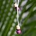 House of Marley EM-JE041-PU Smile Jamaica Wired Noise Isolating Headphones with Microphone, Purple