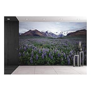 Lavender Field in Open Mouantain Ares - Removable Wall Mural | Self-Adhesive Large Wallpaper - 66x96 inches