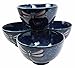 Japanese Tombo Dragonfly Food Safe 4.5