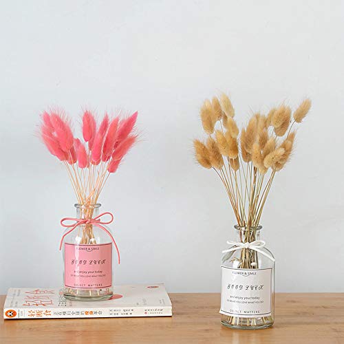 Beau Jour Natural Dried Lagurus ovatus 100 pcs, Flower Arrangements Wedding Home Decor (Pink)