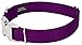 Country Brook Petz – Premium Nylon Dog Collar with Metal Buckle – Vibrant 22 Color Selection (Large, 1 Inch Wide)thumb 3