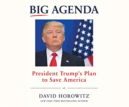 Big Agenda: President Trump's Plan to Save America, by David Horowitz