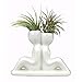 NW Wholesaler - Air Plant Little People Air Plant Holders -