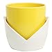 Decorative Yellow & White Nesting Design Ceramic Flower Planter Pot/Plant Container w/Attached Saucer