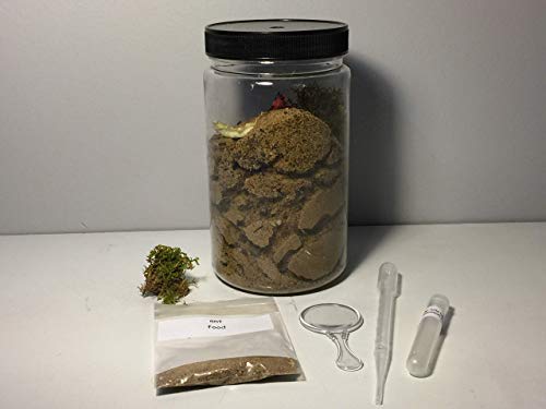 Jar"O" Ants ant farm science STEM project - Thumbnail 5