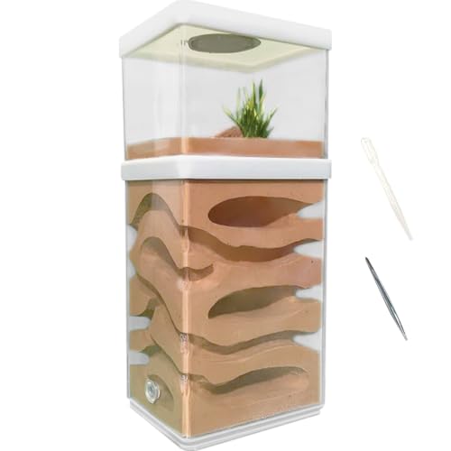 La La Pet Ant Farm Box