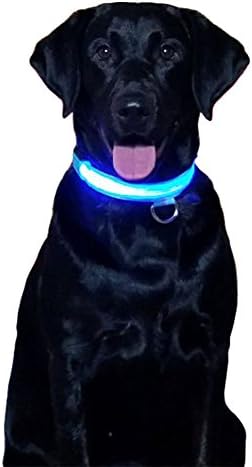 Furific Weather Resistant LED Light Up / Flashing Dog Collar