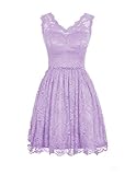 LOVEBEAUTYÂ® Women's Elegant Lace V-neck Short Prom Dress Bridesmaid Dresses