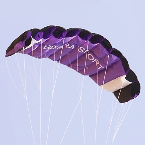 Besra New Arrival Huge 74inch Dual Line Parachute Stunt Kite with Flying Tools 1.9m Power Parafoil Kitesurfing Training kites Outdoor Fun Sports for Beach (74inch Purple)