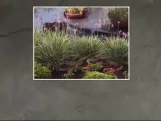 2 Rain+Bird+CPF100+Automatic+Sprinkler