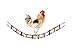 BWOGUE Wooden Chicken Flexible Ladder,Parrot Chicken Swing,Pet Toy